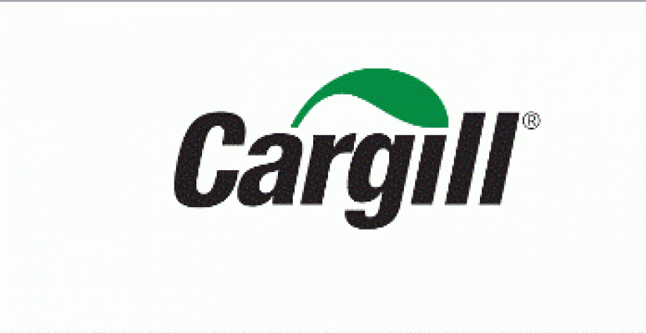 Cargill quer construir terminal no Pará; prevê investir R$700 mi  