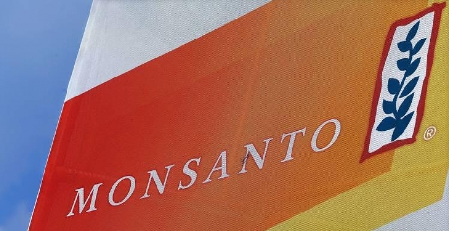 Monsanto contestará parecer do INPI que defende anular patente da Intacta 