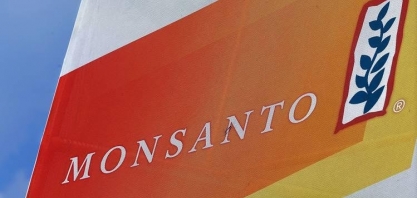 Monsanto contestará parecer do INPI que defende anular patente da Intacta 