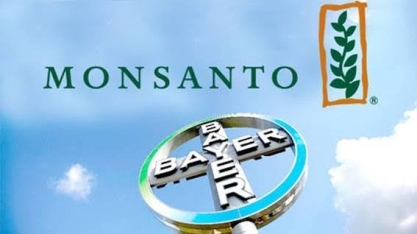 Fusão entre Bayer e Monsanto é aprovada no Brasil,mas Cade impõe condições