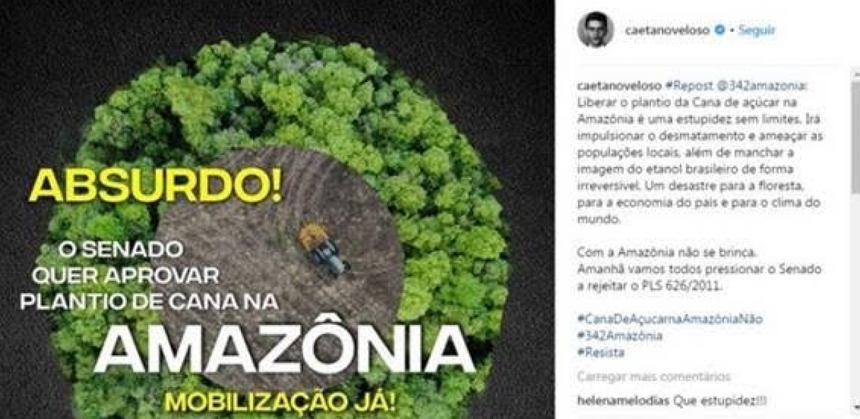 Usineiros e ambientalistas se unem contra plantio de cana na Amazônia