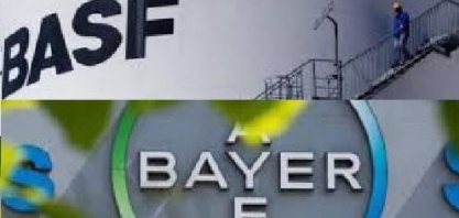 Basf ampliará pesquisas com sementes da Bayer, diz próximo CEO