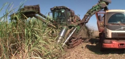 PR: Governo construirá trincheiras no acesso a usinas de cana