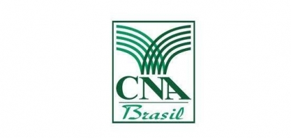 CNA quer melhor remuneração para cana-de-açúcar