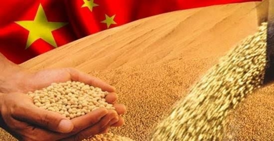 China à procura novos países para a importação de soja