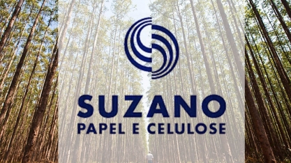 Suzano pagará mais R$750 mi por florestas da Duratex em SP