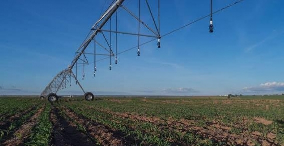 Campo de soja em Luís Eduardo Magalhães, na Bahia