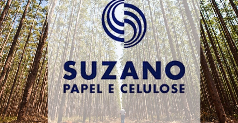 Suzano avalia alternativas para tabela de frete