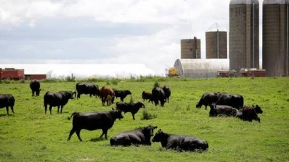 EUA aumentam produção de carnes e concorrência com Brasil