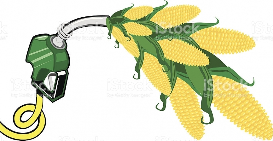  EUA devem destinar recorde de 145,6 mi t de milho para etanol em 2018/19 
