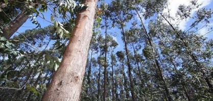 Brasil é 9º país em empresas certificadas com ‘selo verde’