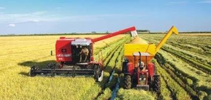 Contas não fecham nos setores de arroz e de feijão