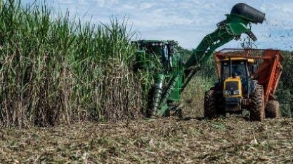 Cana: Moagem cai 31,685 na 2ª quinzena de setembro e 2,31% no acumulado