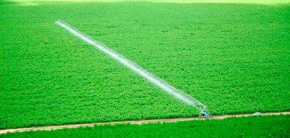 Irrigação: Cultivo de cana-de-açúcar convencional e orgânica o ano todo