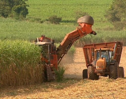 Produção de etanol bate recorde em 11 anos após queda do açúcar 