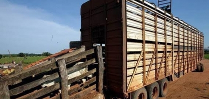 Venda de carne também se beneficia de guerra comercial