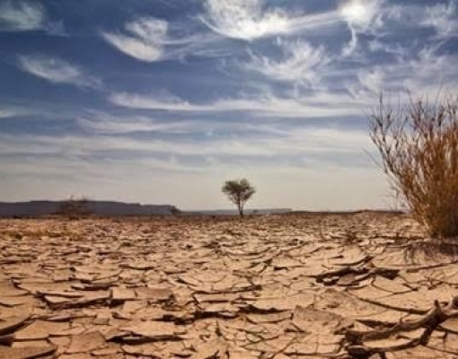 Brasil está entre países que mais perdem dinheiro com mudanças climáticas