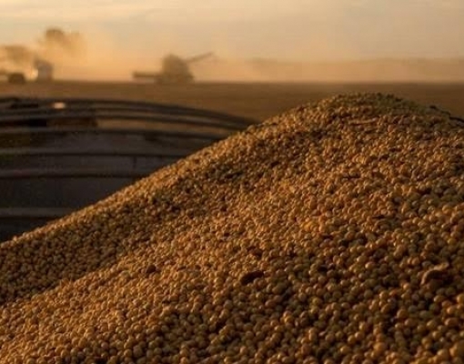 Valor da Produção Agropecuária de 2019 deverá superar o deste ano