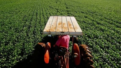 Agronegócio tenta manter subsídio em conta de luz