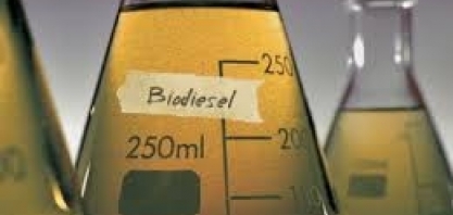 Biodiesel: Abiove e Aprobio contestam Anfavea e defendem aumento no diesel 