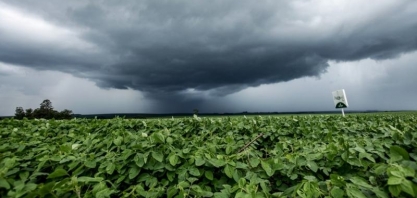 Chuva pode retardar colheita de soja e traz riscos para qualidade