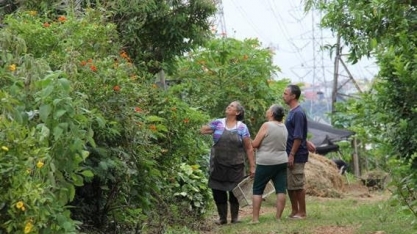 São Paulo ganharia R$ 500 mi ao ano com nova gestão alimentar