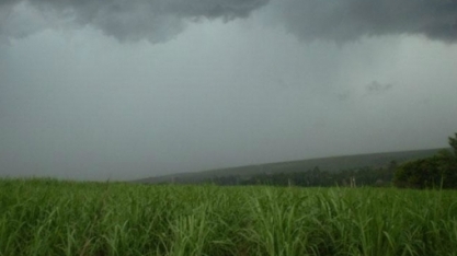 CS produz 26,5% menos açúcar em 2018/19;chuva atrapalha atividades em março