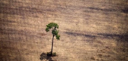 Pioneiro contra desmatamento, Fundo Amazônia tem futuro incerto