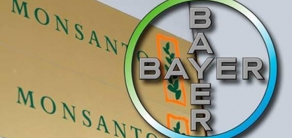 Comunidade rural chilena se volta contra Bayer-Monsanto