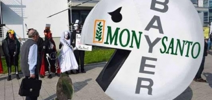 Ações da Bayer despencam após derrota em caso de US$2 bi sobre Roundup