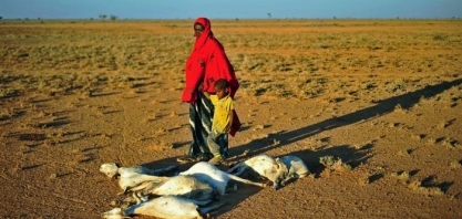 Fome se alastra pelo mundo, diz relatório da ONU