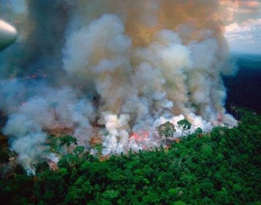 Macron usa imagem de fotógrafo morto em 2003 para falar de queimadas