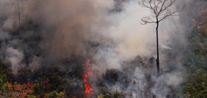 Os incêndios na Amazônia e o poder da pressão internacional