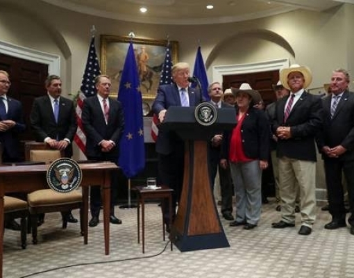 Trump e UE anunciam acordo para ampliar vendas de carne bovina dos EUA