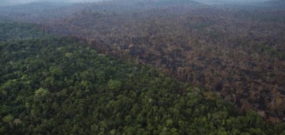 Ministério da Agricultura tira do ar Programa de Regularização Ambiental