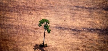 O que o acordo comercial UE-Mercosul diz sobre meio ambiente