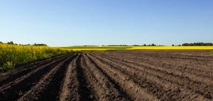 Plantio de soja do Brasil 19/20 terá menor avanço em 13 anos, diz AgRural