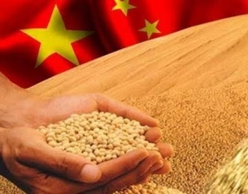 China de olho em soja brasileira à espera de negociações com EUA