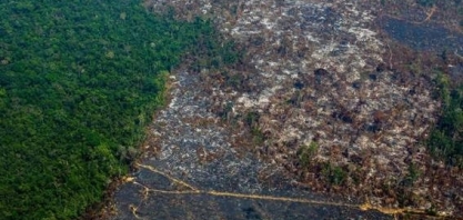 Desmatamento na Amazônia cresce 96% em setembro, indicam alertas do Inpe