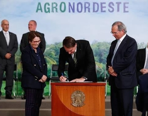 Programa AgroNordeste vai diminuir diferenças regionais