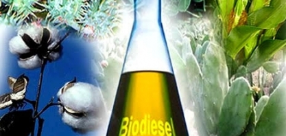 Biodiesel ultrapassa R$ 3 e pressiona diesel nos postos