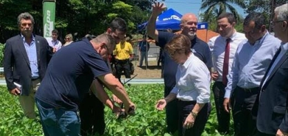 Ministra defende uso de tecnologia na agropecuária para ampliar mercado