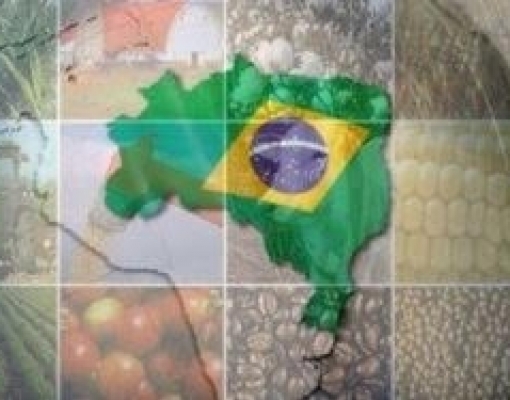 Valor Bruto da Produção Agropecuária de 2019 é atualizado para R$ 609,5 bi