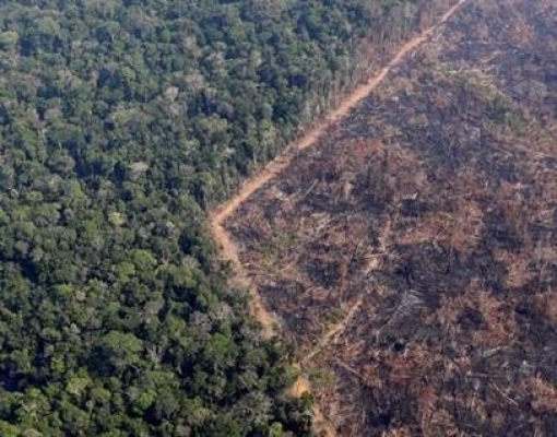 Brasil está entre países com piores políticas climáticas, diz índice