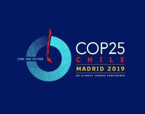 COP25 em Madri recebe delegação do setor sucroenergético