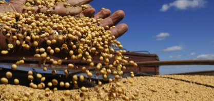 Exportações do agronegócio caem 4% em 2019 e somam US$ 96,8 bilhões