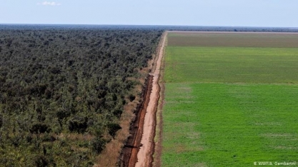 Desmatamento ilegal em latifúndios avança sobre o Cerrado