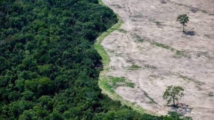 Equipe econômica: Reação de investidores à questão ambiental é preocupante