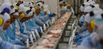 Liberação da carne brasileira vira guerra digital nos EUA