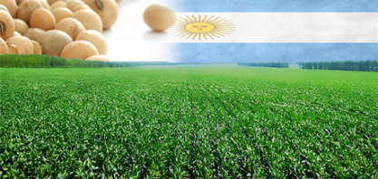 Agricultores argentinos iniciam colheita de soja para venda futura